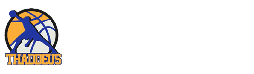 天天体育直播网